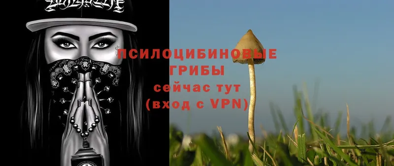 Галлюциногенные грибы Magic Shrooms Бодайбо